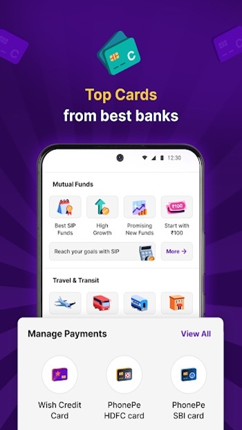 fake phonepe apk free